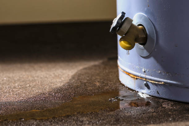 Water damage restoration experts in CA