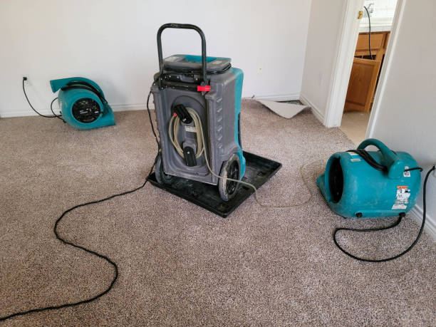 Best Water damage contractors near me  in Del Aire, CA