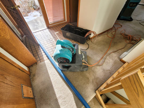 Best Local water damage restoration  in Del Aire, CA