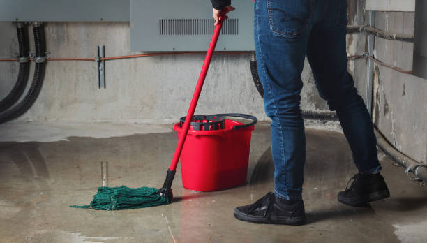 Best Water damage restoration near me  in Del Aire, CA