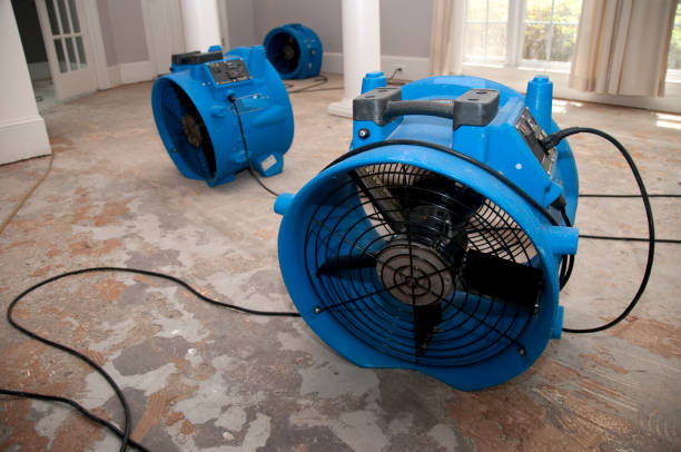 Best Flood restoration services  in Del Aire, CA