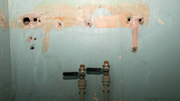 Best Flood damage cleanup  in Del Aire, CA