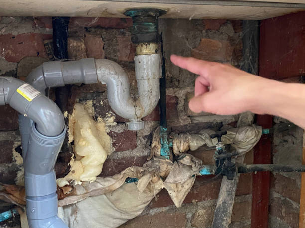 Best Water damage restoration company  in Del Aire, CA