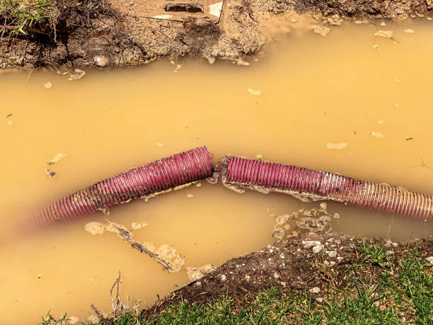 Best Flood restoration services  in Del Aire, CA