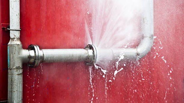 Best Basement water damage restoration  in Del Aire, CA
